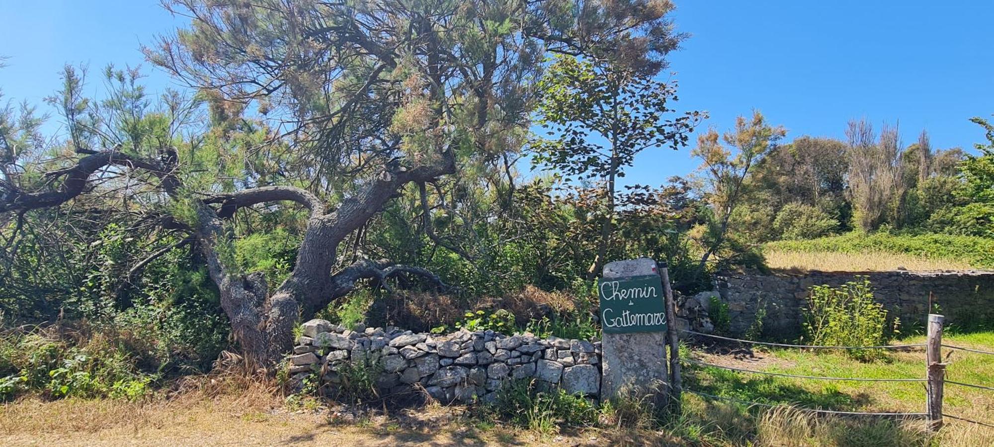Relais Des Iles Saint Marcouf Villa Bagian luar foto